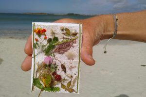 Carte postale de la nature